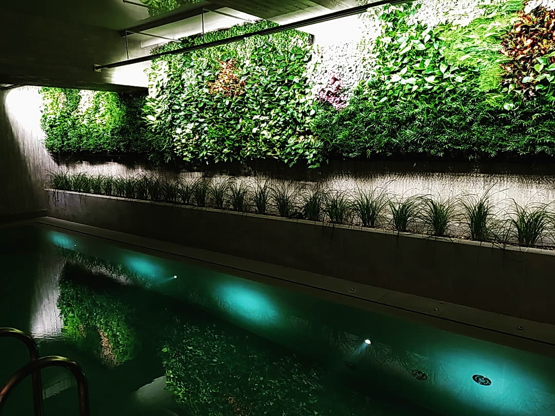 wallcocomat-cvd001-saturated